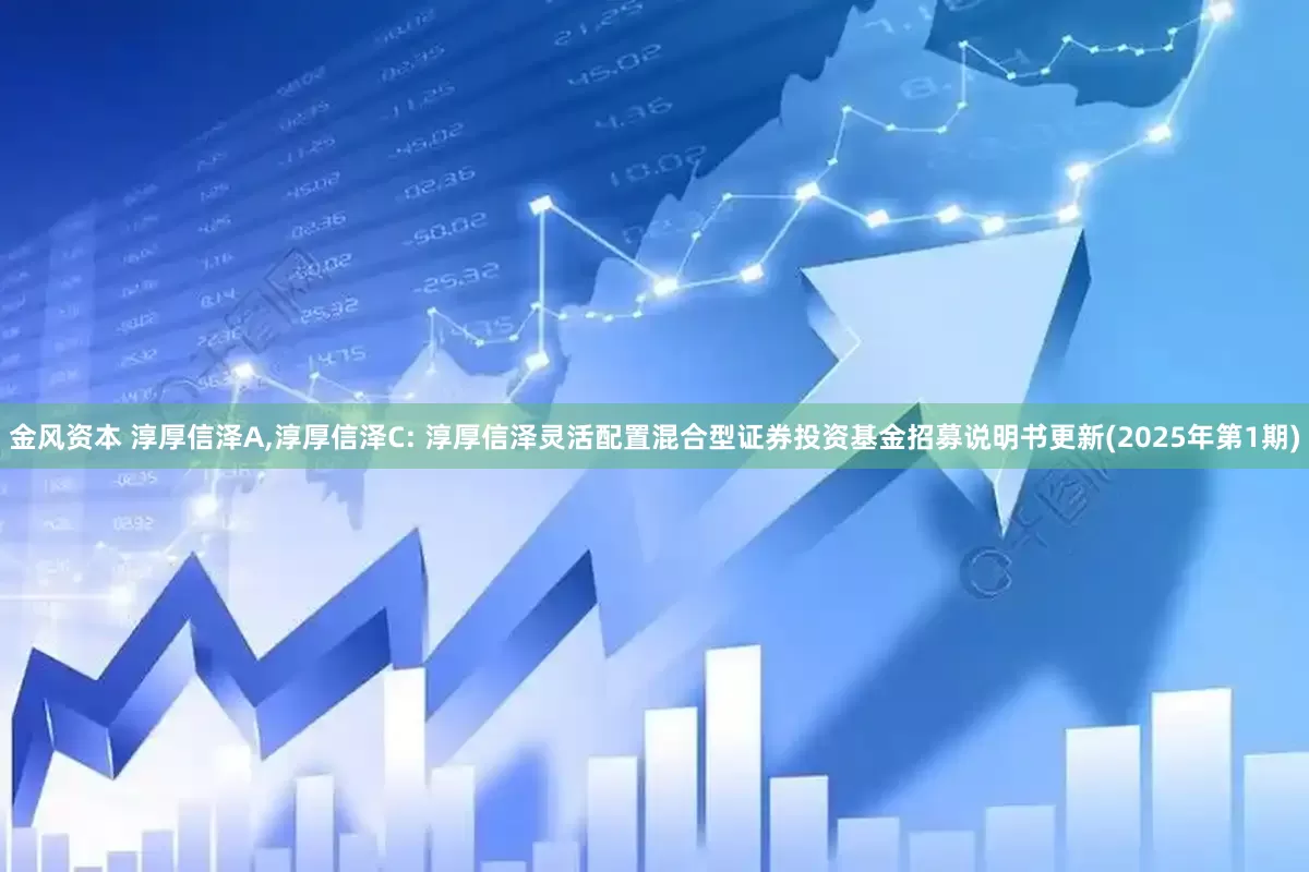 金风资本 淳厚信泽A,淳厚信泽C: 淳厚信泽灵活配置混合型证券投资基金招募说明书更新(2025年第1期)