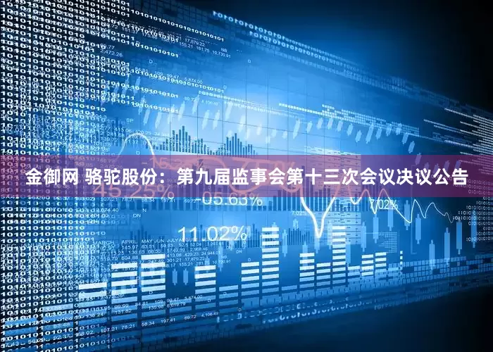 金御网 骆驼股份：第九届监事会第十三次会议决议公告