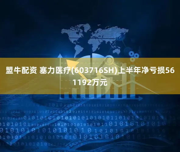 盟牛配资 塞力医疗(603716SH)上半年净亏损561192万元